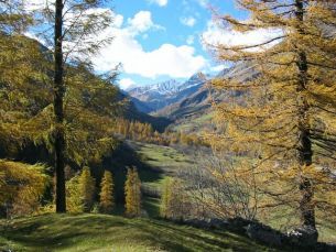 Bene l'indennità compensata nelle zone montane per il 2015