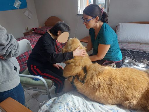 Ad Alba Open Week di incontri gratuiti con la Pet Therapy