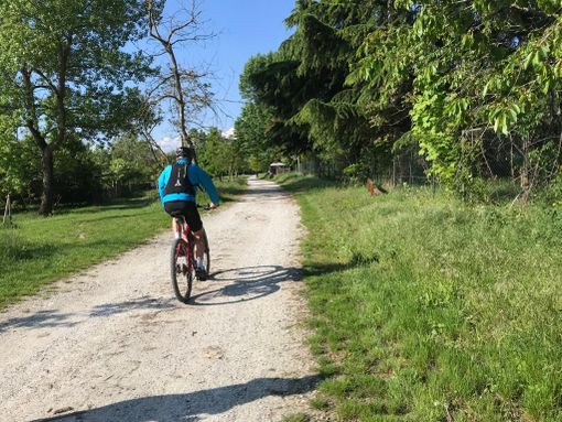 Cuneo pensa al turismo "post-Covid": domani la commissione alla Sala del Turismo