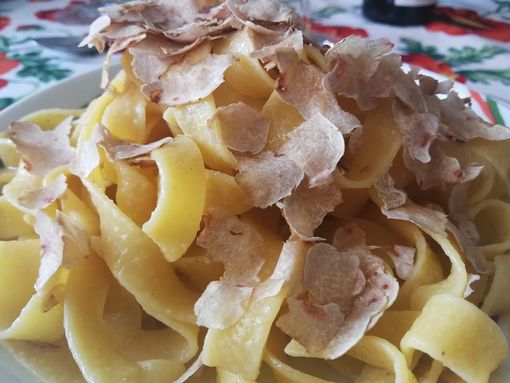 Weekend nelle Langhe per assaggiare il Tartufo Bianco d'Alba, ci scrive: "In un'osteria me lo hanno fatto pagare 900 euro l'etto"