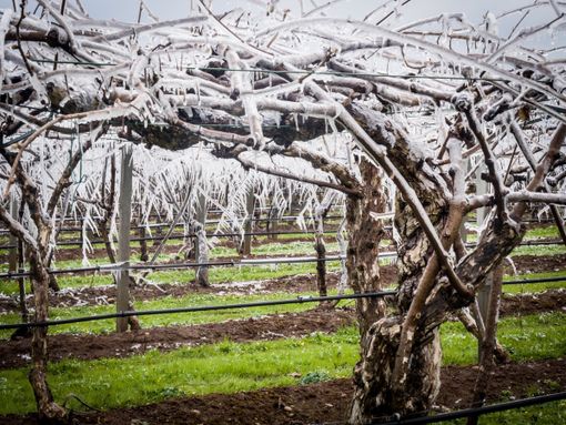 Immagine di repertorio