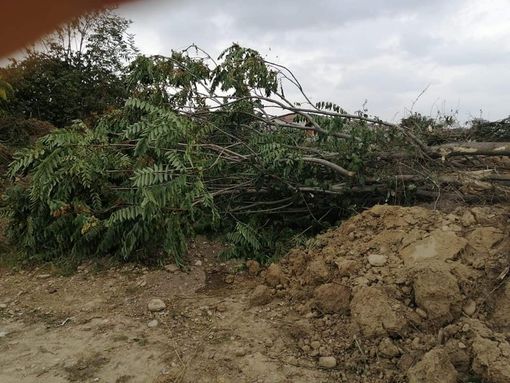 Piazza d'Armi vista dall'alto Piazza d'Armi vista dall'alto