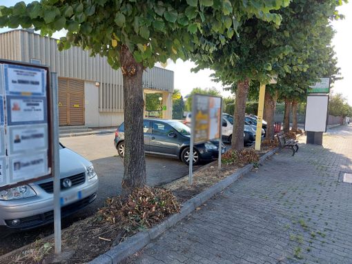 Dopo la richiesta del Comune, ripulite le aree verdi intorno all'ufficio postale di Borgo