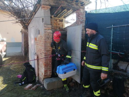 Due gattini salvati a Mondovì dai Vigili del Fuoco Due gattini salvati a Mondovì dai Vigili del Fuoco