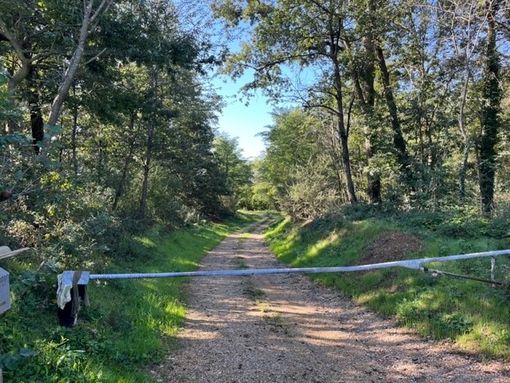 Porcilaia di Ternavasso: anche questa volta ci sono le condizioni per fermarla