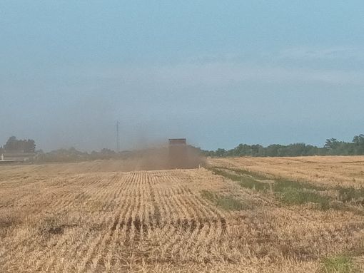 A Salmour scatta l'obbligo immediato di interrare compost e fertilizzanti: “Cattivi odori insostenibili”