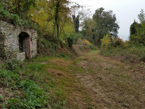 A Rocca Cigliè, pulizia dei sentieri ad opera dei forestali della squadra "Langa Cebana 95"