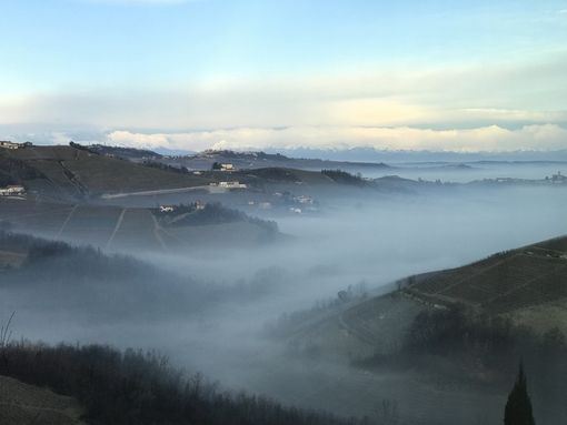 Immagine di repertorio