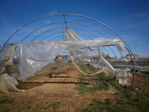 Tromba d'aria nel Cuneese: ingenti danni all'agricoltura ai piedi della Bisalta Tromba d'aria nel Cuneese: ingenti danni all'agricoltura ai piedi della Bisalta