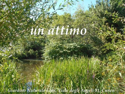 Evento installativo dell'artista Domenico Olivero al giardino della Lipu di Cuneo Evento installativo dell'artista Domenico Olivero al giardino della Lipu di Cuneo