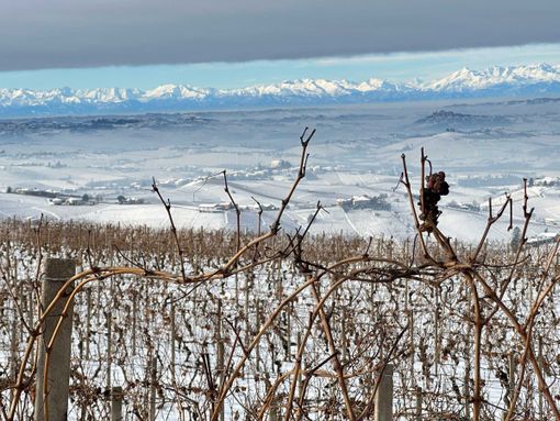 Foto di Coldiretti Cuneo