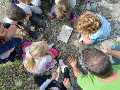 Ampia partecipazione a Vottignasco per "Vivi ed esplora il Maira"