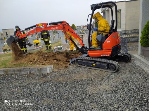 Cimitero di Dronero: scoperto un grande favo di vespe Cimitero di Dronero: scoperto un grande favo di vespe