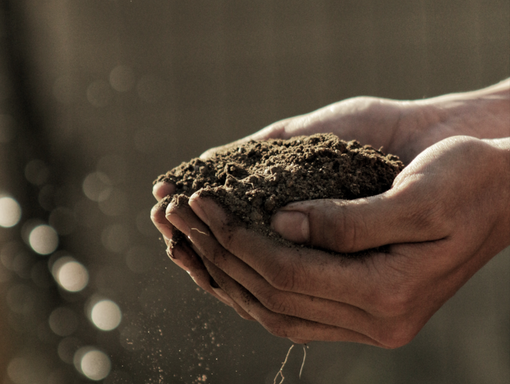 Gabriel Jimenez- tramite Unsplash