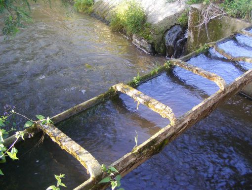 Immagine di repertorio