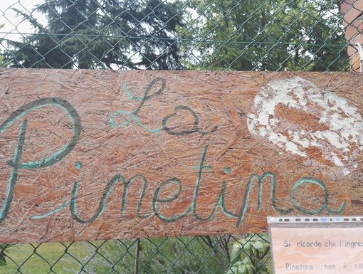 Il parco della Pinetina di Cuneo Il parco della Pinetina di Cuneo