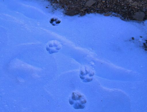 Immagine di repertorio