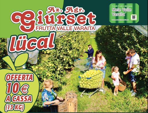 Vieni a raccogliere le mele direttamente in campo