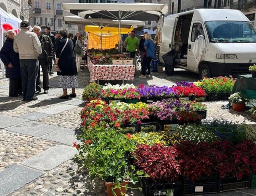 Immagine di repertorio