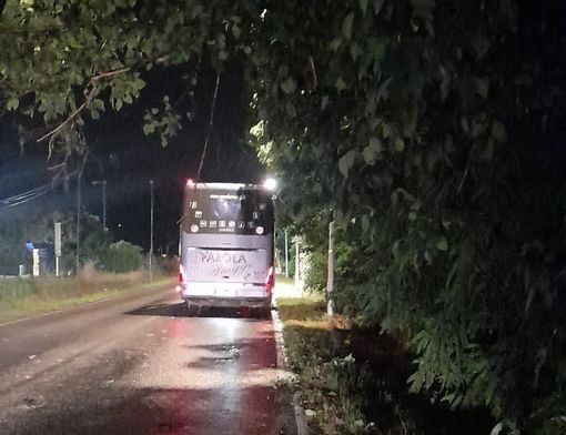 A Cuneo pullman turistico colpito da un grosso ramo di rientro da un viaggio: danni ma nessun ferito A Cuneo pullman turistico colpito da un grosso ramo di rientro da un viaggio: danni ma nessun ferito