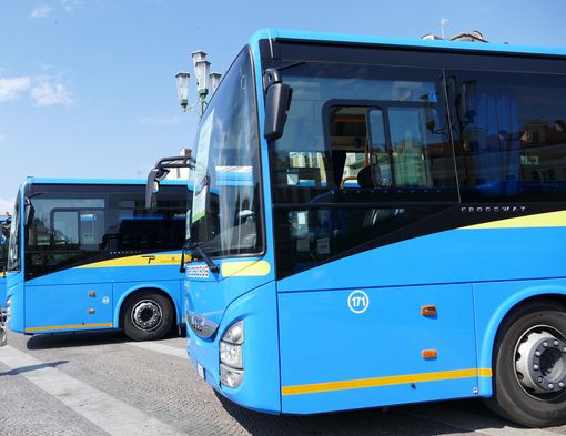Disservizi dei trasporti e ritardi a scuola, Grandabus: "Disponibili ad incontrare enti e comuni per trovare delle soluzioni" Disservizi dei trasporti e ritardi a scuola, Grandabus: "Disponibili ad incontrare enti e comuni per trovare delle soluzioni"