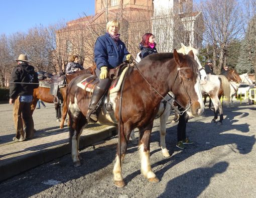Foto di Stefano Tibaldi