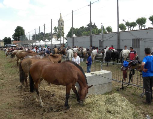 A Passatore la bellezza del mondo dei cavalli