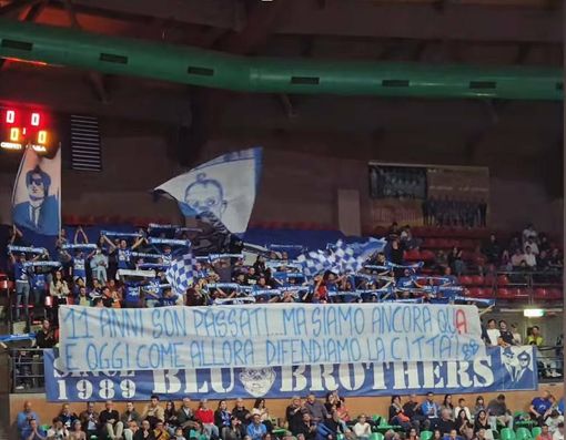 SUPERLEGA / Cuneo-Trento, la rivalità che fa ancora battere il cuore: "Non giudicare quel rumore, innamoratene” SUPERLEGA / Cuneo-Trento, la rivalità che fa ancora battere il cuore: "Non giudicare quel rumore, innamoratene”