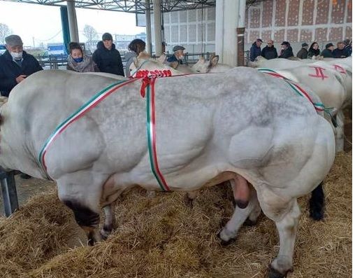 Immagine relativa ad una precedente edizione