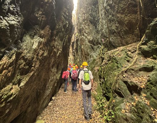 Mostra“Natura e Vita – Daniele Fissore” tra Busca e Cherasco: arte, e visite collaterali