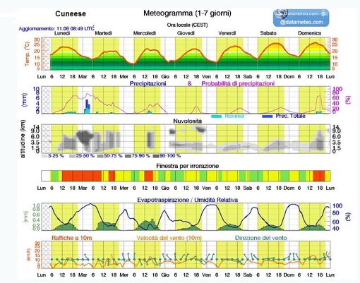 L’estate tarda a far sentire il suo influsso: ancora qualche giorno poi sarà estate ma...