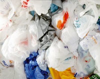 Per la giornata nazionale Plasticfree la pulizia del Sentiero delle Coccinelle