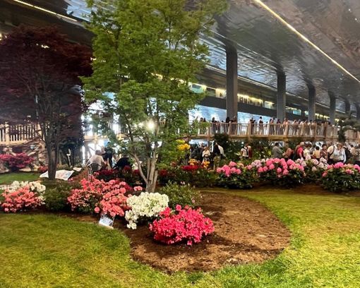 Allestimento Asproflor a Euroflora 2025