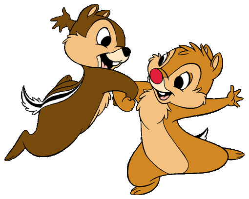 Choconews... Ferma quello scoiattolo!