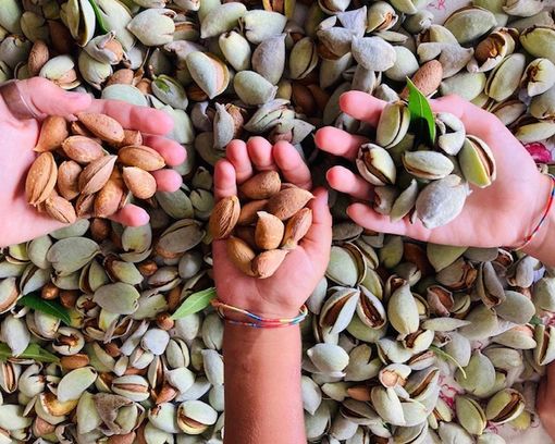 “Filosofia in campo”: all’azienda L’Undes di Villar San Costanzo il filosofo Luca Marchetti