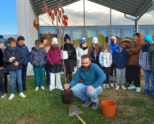 A Moretta un nuovo albero per la scuola primaria