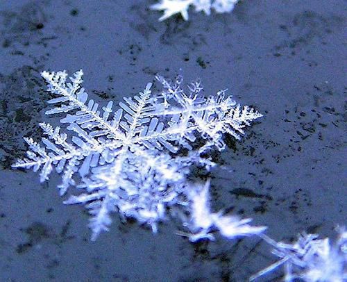 Neve in arrivo su tutta la Granda: previste precipitazioni da intense a moderate, valli Varaita, Stura e Tanaro "sorvegliate speciali" Neve in arrivo su tutta la Granda: previste precipitazioni da intense a moderate, valli Varaita, Stura e Tanaro "sorvegliate speciali"