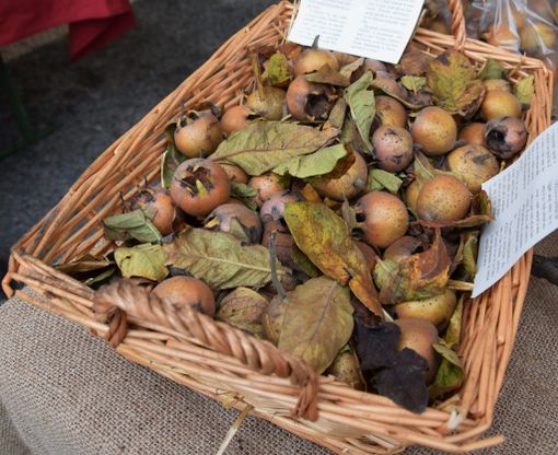 Tutto pronto a Farigliano per la Fiera dei Puciu e di San Nicolao [VIDEO]