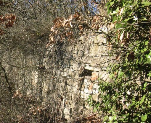 Immagine tratta da "Langa Medievale"