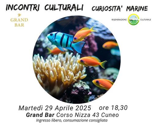 Al Grand Bar di Cuneo l'ultimo incontro culturale dedicato agli ambienti marini