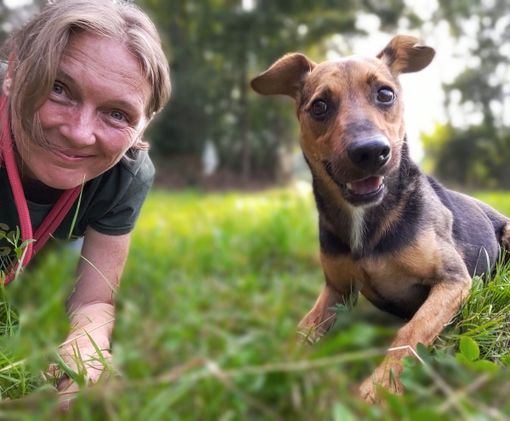 Mondovì, torna il corso di formazione "Capire il cane" Mondovì, torna il corso di formazione "Capire il cane"