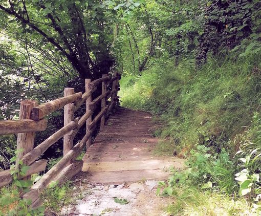 Sui sentieri d’òc arriva a Frassino: terzo appuntamento della rassegna di attività tra escursionismo e intrattenimento per famiglie con bambini