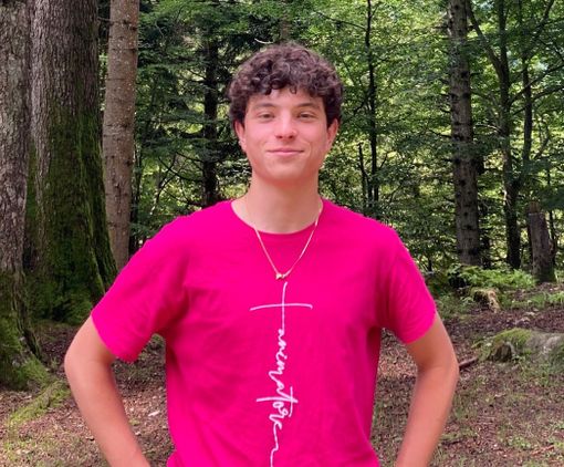 Francesco Vardanega, classe 4 A Geometri Francesco Vardanega, classe 4 A Geometri