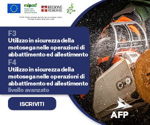 Nuovo avvio in AFP di percorsi formativi in ambito forestale Nuovo avvio in AFP di percorsi formativi in ambito forestale