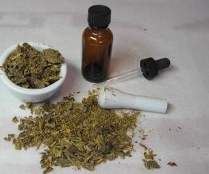 A Cuneo, serata organizzata da Pro Natura per parlare di "Streghe tra medicina e leggenda"