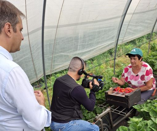 Buongiorno Regione, Varrone (Cia Cuneo): "Fragole di Peveragno e ortofrutta biologica di Fossano protagonisti"