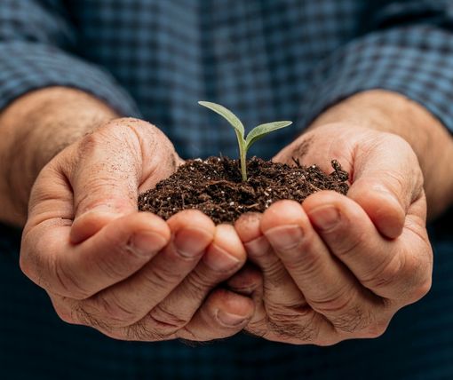 Il Comizio Agrario organizza il seminario online “Pratiche di agricoltura organica e rigenerativa”