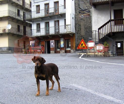 Crissolo, piazza Duca degli Abruzzi. Sullo sfondo, la strettoia da dove parte la strada per Pian del Re Crissolo, piazza Duca degli Abruzzi. Sullo sfondo, la strettoia da dove parte la strada per Pian del Re