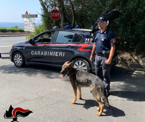 Lo fermano con 18 dosi di cocaina davanti a una discoteca di Alassio: nei guai 28enne residente nel Cuneese