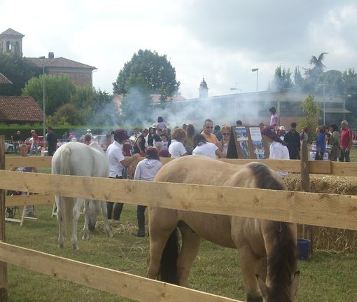 Nel week-end torna la festa dell’amicizia in salsa country di Genola